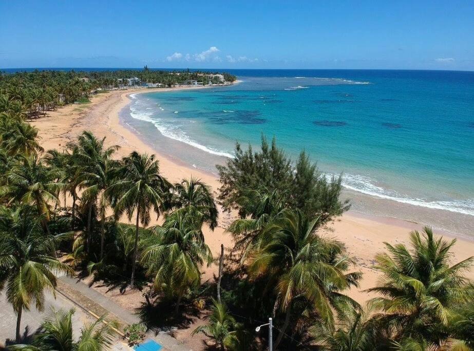 Relaxing Studio Near El Yunque With Pool View Luquillo Exterior foto
