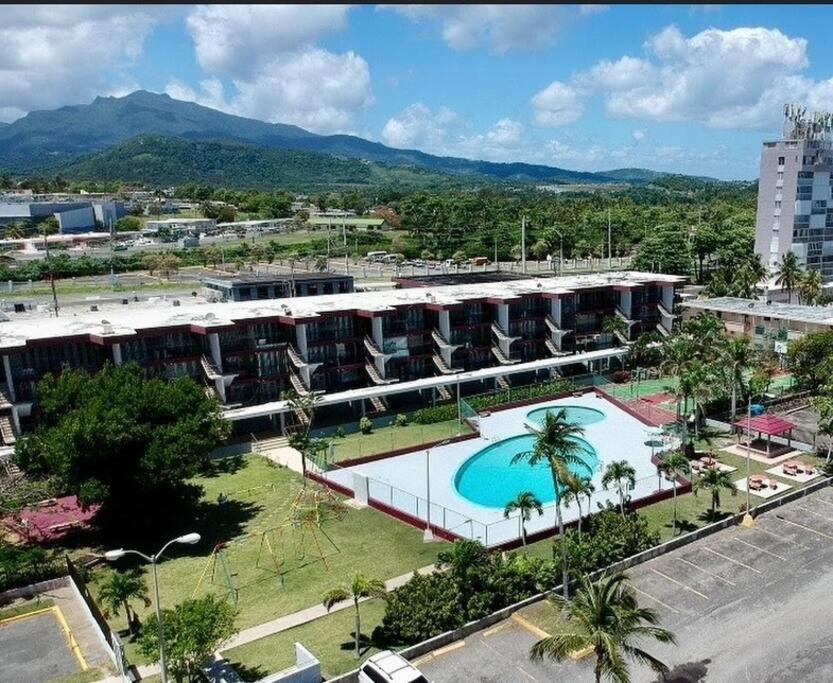 Relaxing Studio Near El Yunque With Pool View Luquillo Exterior foto